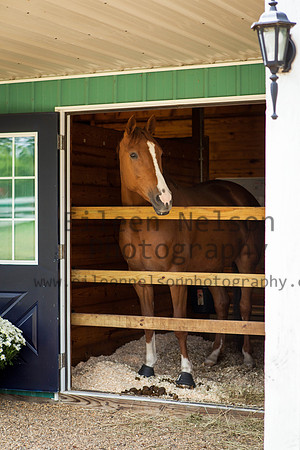 Kilkern- Eileen Nelson Photography 2014-9181