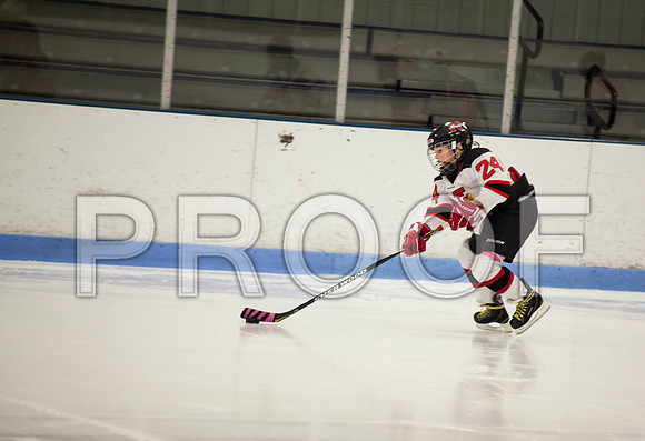 dlt 2012 pee-wees-5607
