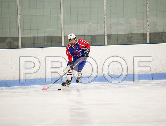 dlt 2012 pee-wees-5614