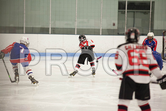 dlt 2012 pee-wees-5615