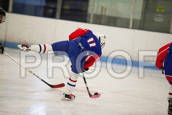 dlt 2012 pee-wees-5617