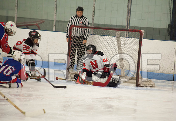 dlt 2012 pee-wees-5621