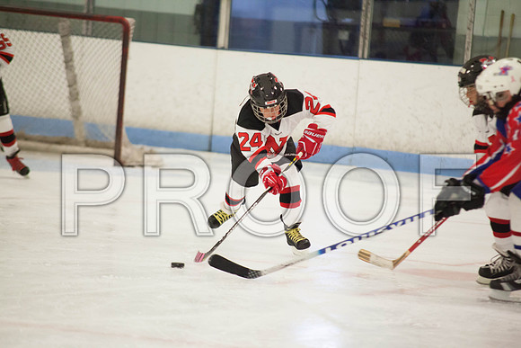 dlt 2012 pee-wees-5631