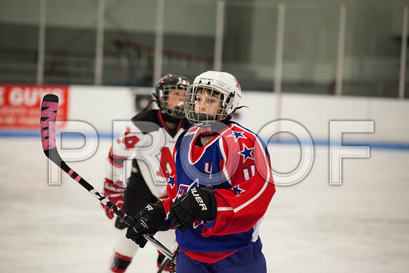 dlt 2012 pee-wees-5637