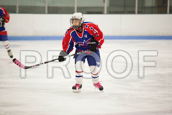 dlt 2012 pee-wees-5639