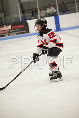 dlt 2012 pee-wees-5640