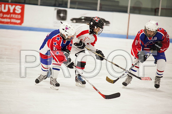 dlt 2012 pee-wees-5645