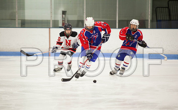 dlt 2012 pee-wees-5646