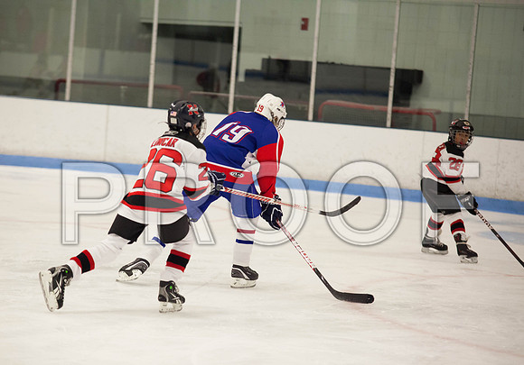 dlt 2012 pee-wees-5647