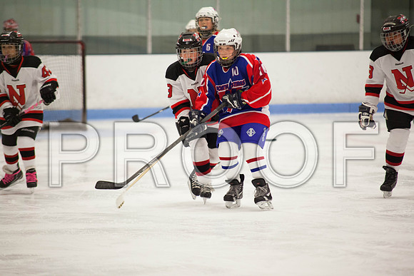 dlt 2012 pee-wees-5652