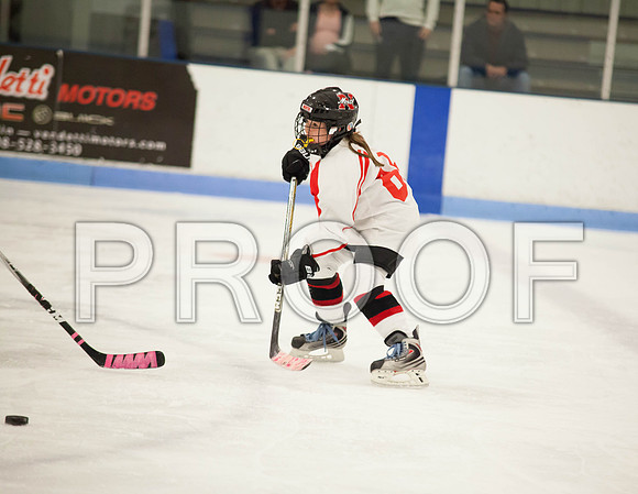 dlt 2012 pee-wees-5660