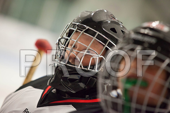 dlt 2012 pee-wees-5663
