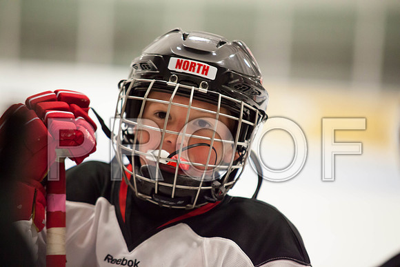 dlt 2012 pee-wees-5664