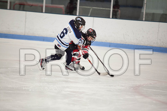101312_1273