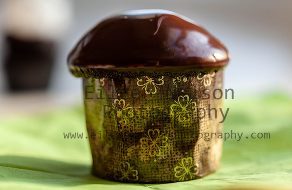 -Eileen Nelson Photography 2015-0186