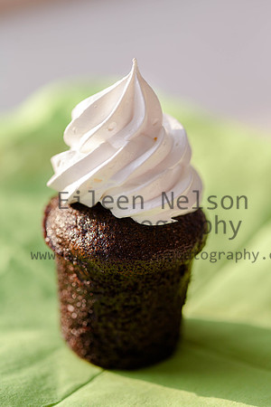 -Eileen Nelson Photography 2015-0199