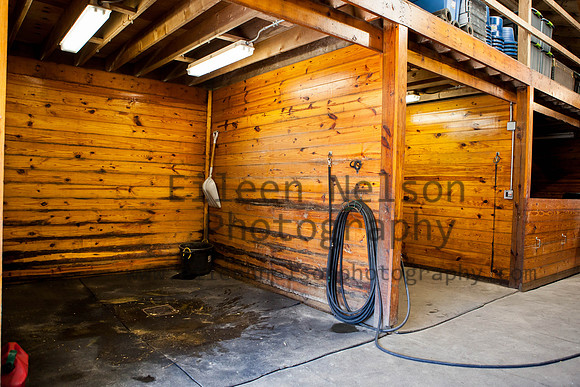 Kilkern- Eileen Nelson Photography 2014-9072