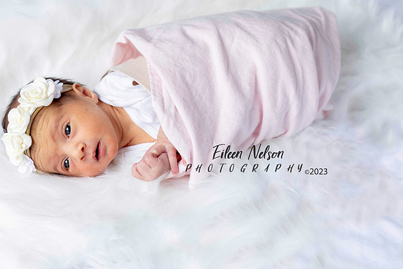 Eileen Nelson Photography 2024- Arvanitis-C28A0258aw