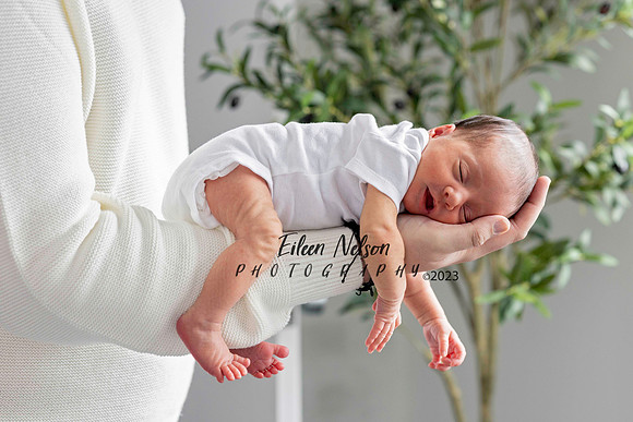 Eileen Nelson Photography 2024- Arvanitis-C28A0418aw