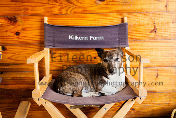 Kilkern- Eileen Nelson Photography 2014-9392