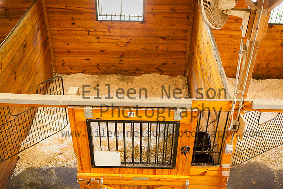 Kilkern- Eileen Nelson Photography 2014-9441