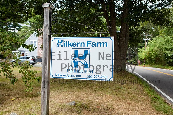 Kilkern- Eileen Nelson Photography 2014-9211