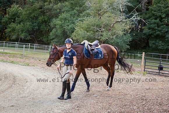 Kilkern- Eileen Nelson Photography 2014-9904