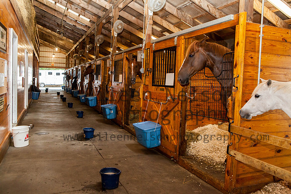 Kilkern- Eileen Nelson Photography 2014-9591