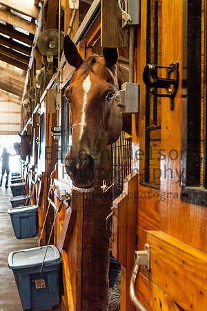Kilkern- Eileen Nelson Photography 2014-9579