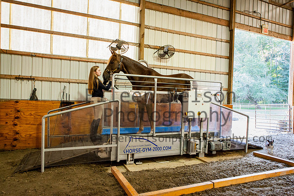 Kilkern- Eileen Nelson Photography 2014-9742