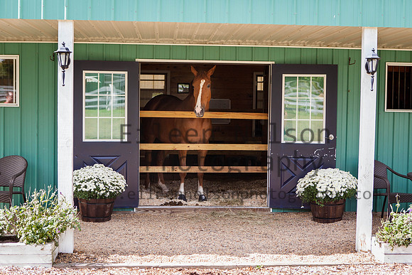 Kilkern- Eileen Nelson Photography 2014-9166