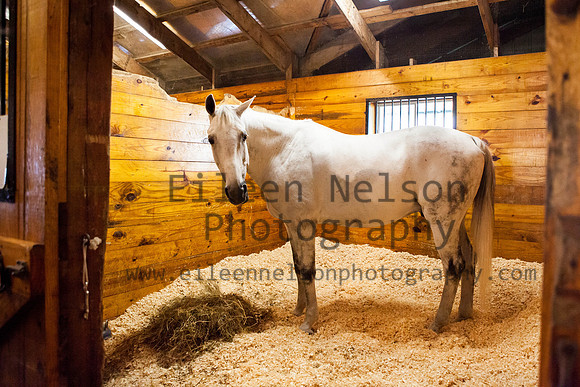 Kilkern- Eileen Nelson Photography 2014-9777