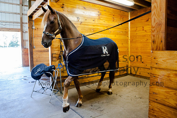 Kilkern- Eileen Nelson Photography 2014-9690