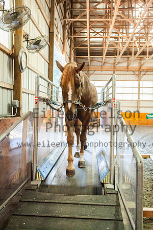 Kilkern- Eileen Nelson Photography 2014-9746